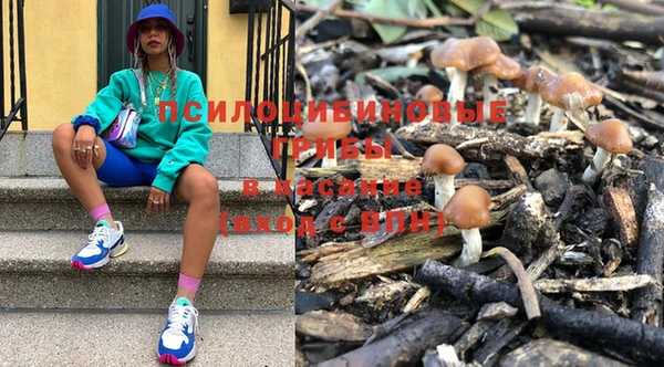 гашик Абдулино