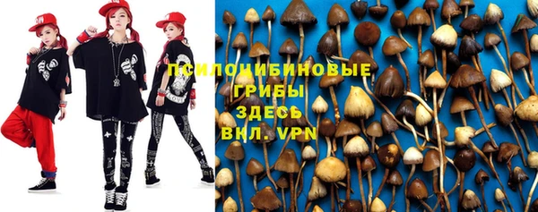 гашик Абдулино