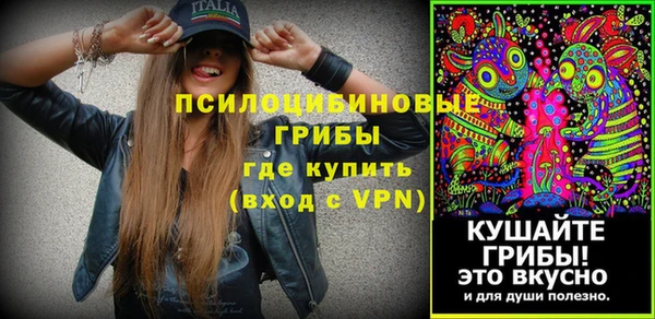 дмт Саяногорск