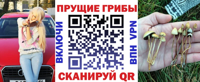 цены   Тайга  Галлюциногенные грибы прущие грибы 